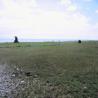 images/Schweden/Schweden 2009/IMG_4550.jpg